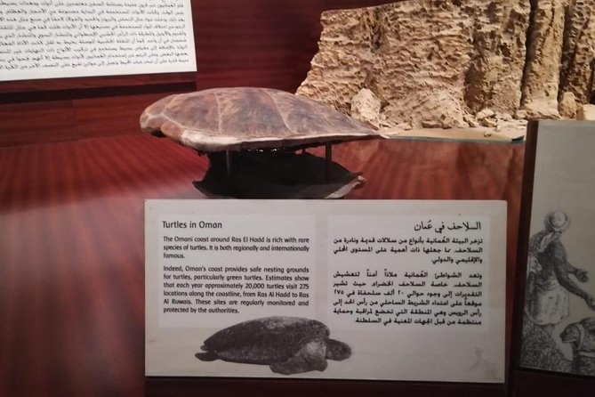 Salalah City Tour - The Sum Up