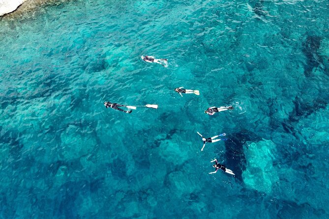San Teodoro: Snorkelling in Tavolara Marine Protected Area - Booking Details