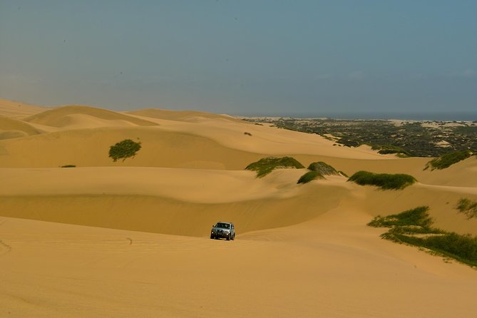 Sandwich Harbour Guided, Self-Drive Tour - Cancellation Policy