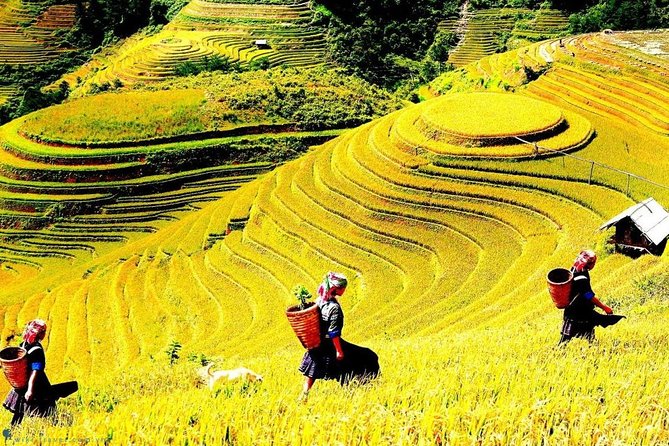 Sapa 2 Day Trekking With 1 Night Homestay - Trekking Routes Overview