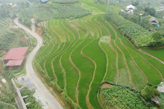 Sapa 3 Days 2 Nights From Hanoi Trekking With Local People - Guide Information