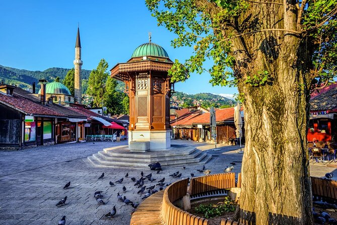 Sarajevo Olympic Mountains and City Sights - Tour Accessibility Information