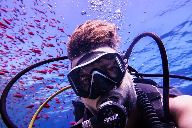 Scuba Dive and Explore Aqabas Red Sea With a Private Guide - Additional Information