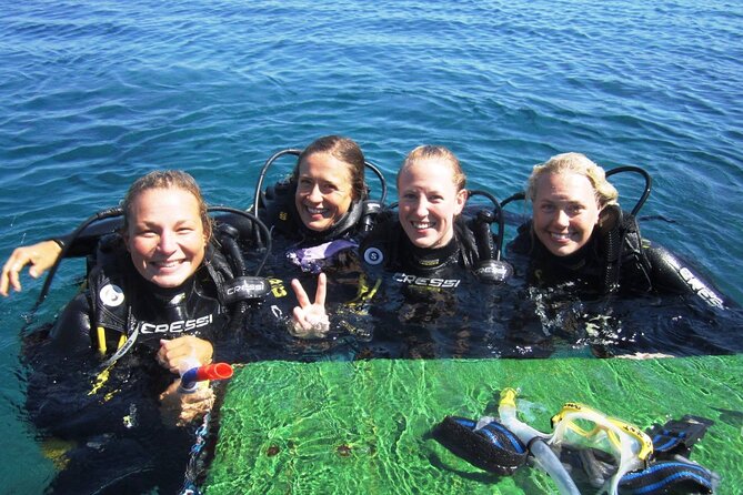 SCUBA DIVE: Kallitheas Underwater Exploration - Price: From .18