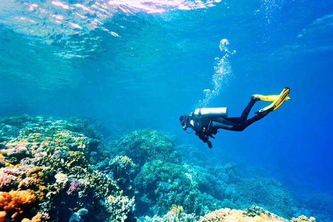 Scuba Diving Adventure in Alanya With Lunch & Hotel Transfer - Frequently Asked Questions