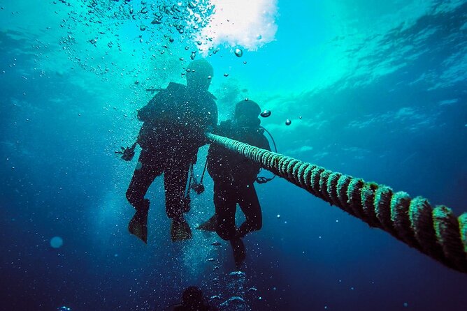 Scuba Diving to Dimaniyat Islands Muscat Oman - Scuba Diving Experience in Dimaniyat Islands
