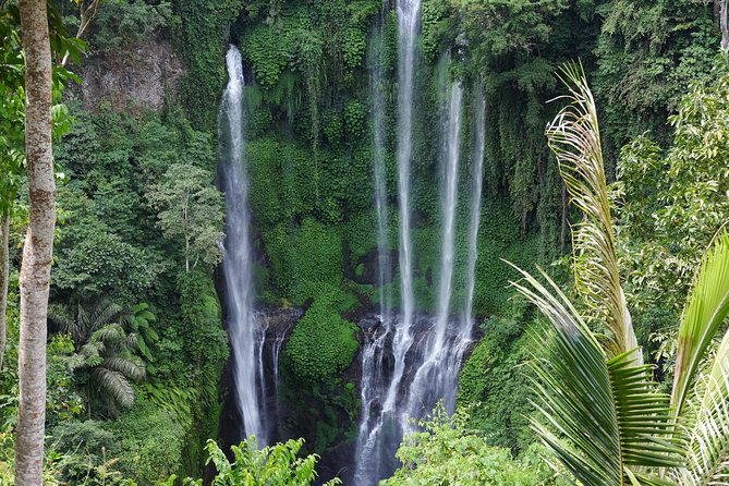 Sekumpul and Banyumala Waterfalls Hiking Tour (Private & All-Inclusive ) - What To Expect