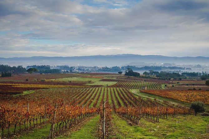 Self-drive Wine Tour in Bairrada Region - Meeting Point Information