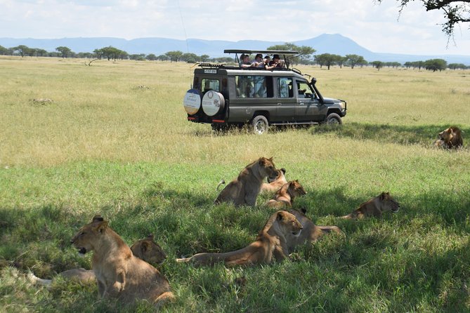 Serengeti Day Trip Safari From Mwanza Tanzania - Frequently Asked Questions