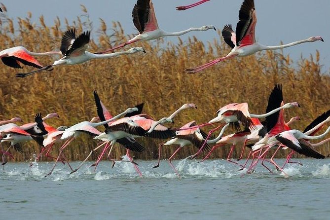 Shirvan National Park Tour