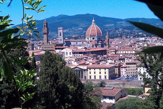 Shore Excursion From Livorno: Private Florence Tour With Michelangelos David - Practical Information