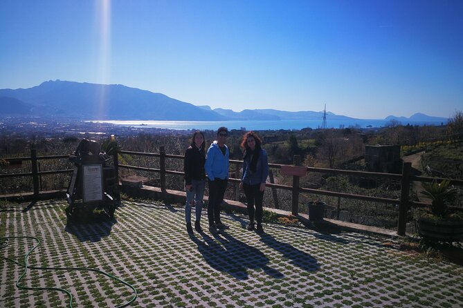 Shore Excursion Vesuvius and Site of Herculaneum (6 Hrs) - Meeting and Pickup Details