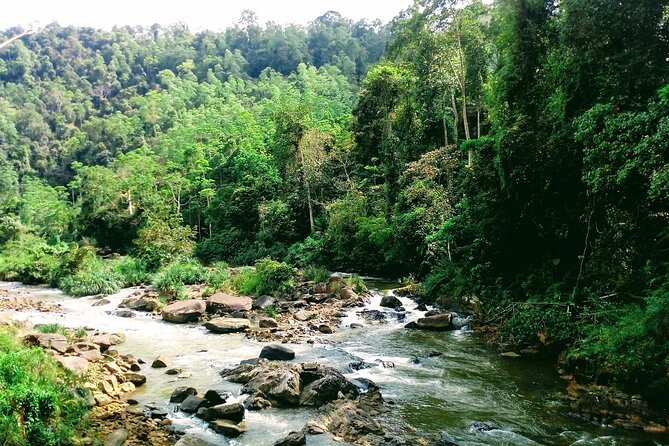 Sinharaja Rainforest Hiking Tour - Tour Details