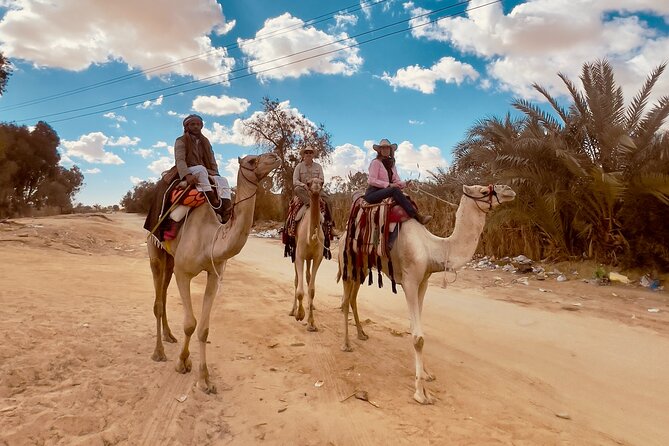 Siwa Oasis Camel Ride & Sandboarding Sunset or Sunrise - Meeting and Pickup Information