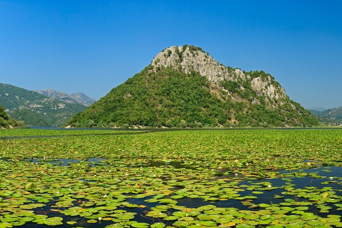 Skadar Lake Day Trip From Herceg Novi - Additional Information