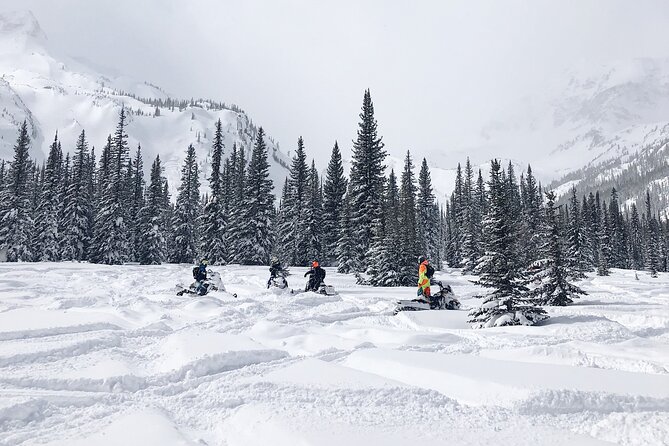 Ski-doo Snow Safari in Borovets - Included Items