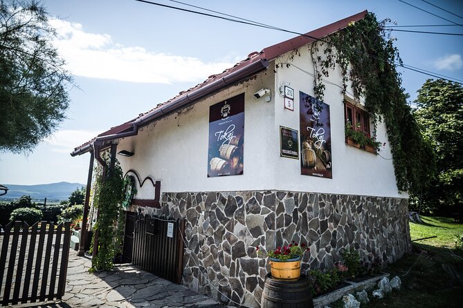 Slovak Tokaj Wine Tasting at Tokaj & CO - Meeting and Pickup