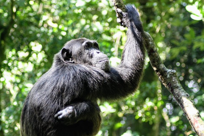 Small Group Adventure Holiday- 7 Days - Adventure Activities