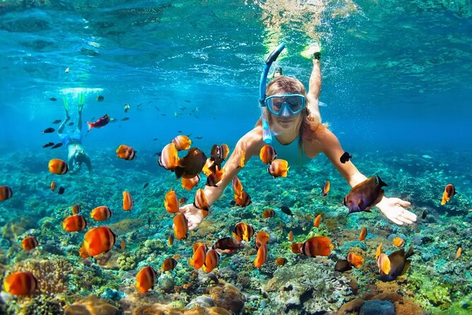 Snorkeling Activity in Aqaba With Lunch and Transportation (Boat) - Frequently Asked Questions