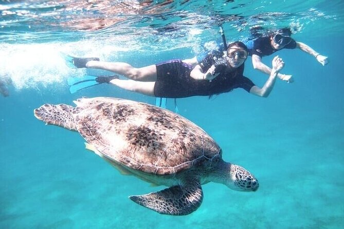 Snorkeling Adventure In Abu Dabbab Beach - Directions