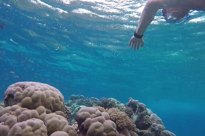 Snorkeling At Misali Island