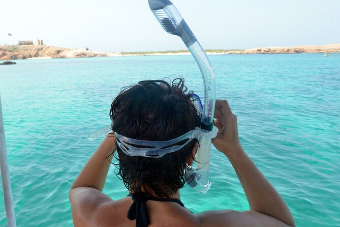 Snorkeling Trips to Daymaniat Islands Sharing Trip - Special Offer