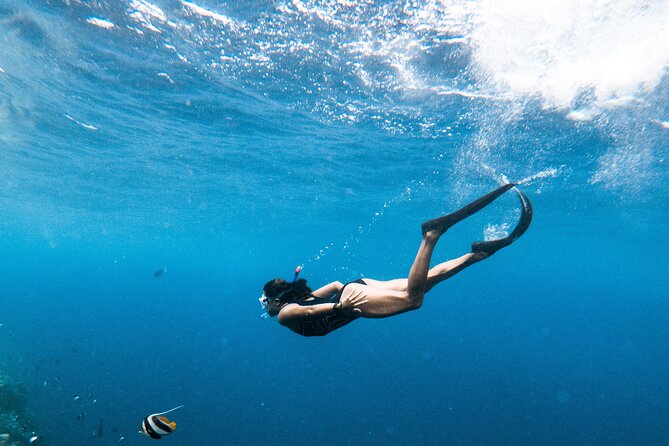 Snorkelling Tours to Daymaniyat Island - Special Offer