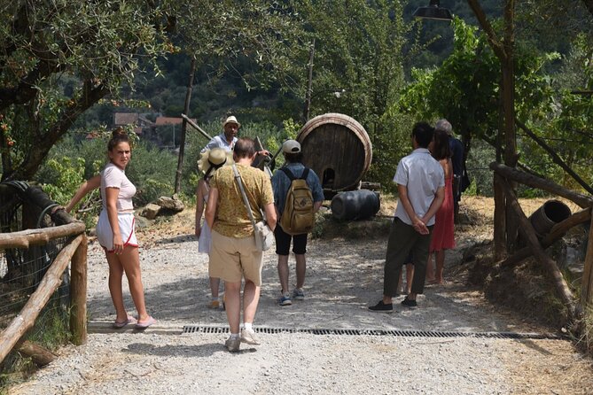 Sorrento Farm Experience: Wine Tasting, Pizza and Cheese Making - Inclusions and Exclusions