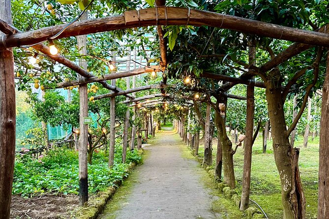 Sorrento Lemon Tour and Tasting of Local Products - Meeting and Pickup Details