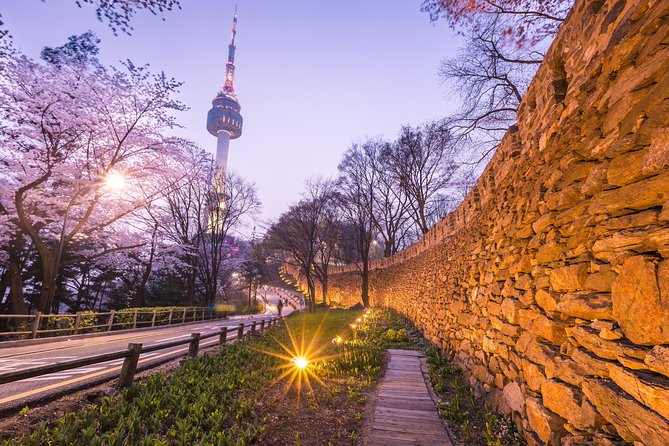 Special City Night Tour - Itinerary Overview