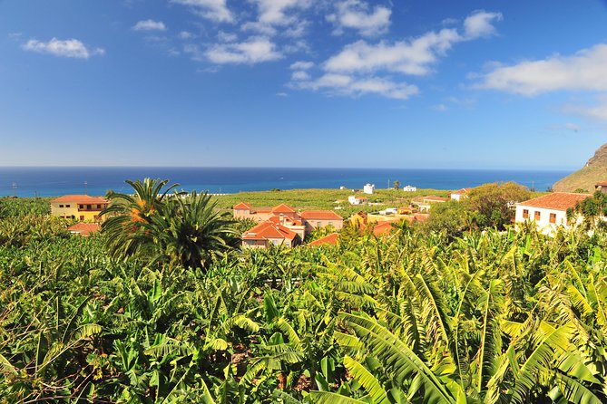 Special Cruise Tour Center and South La Palma (Price per Car Not per Person) - Reviews
