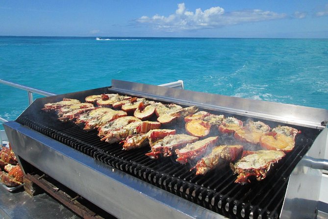 Spectacular Catamaran Trip to Ile Aux Cerf Incl: Undersea Walk, Lunch & GRSE - Cancellation Policy Details