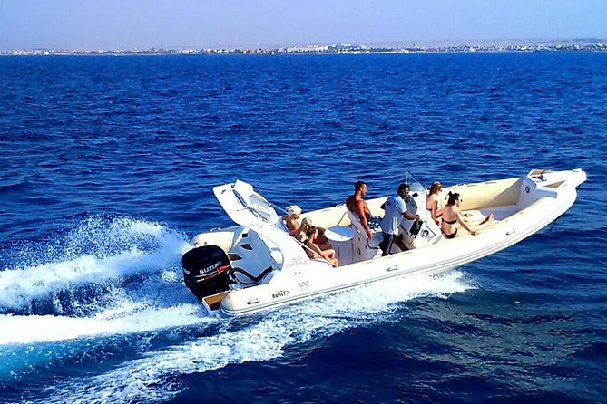 Speed Boat to Dolphin - Customer Reviews and Feedback