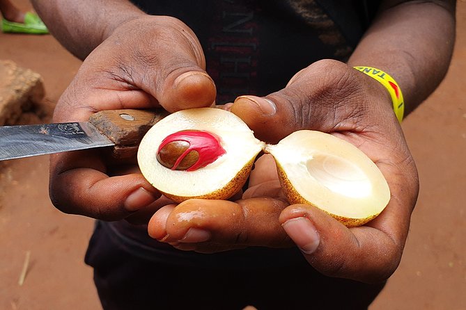 Spice Tour & Cooking Class in Zanzibar - Frequently Asked Questions
