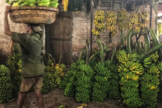 Sri Lanka Personal Tour Driver in Private Vehicle - Tour Logistics