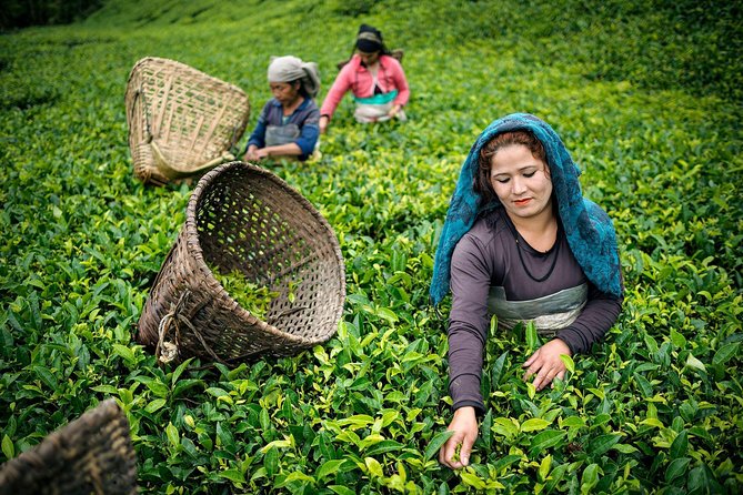 Sri Lanka Round Tour -7 Days With Private Driver - Booking and Cancellation Policy