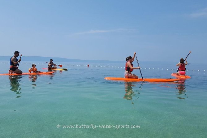 Stand up Paddling Board for 2 Hours Rental - Transportation Options