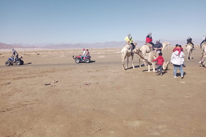 Star Gazing Tour Telescope With Bedouin Dinner, Camel and Show – Sharm El Sheikh