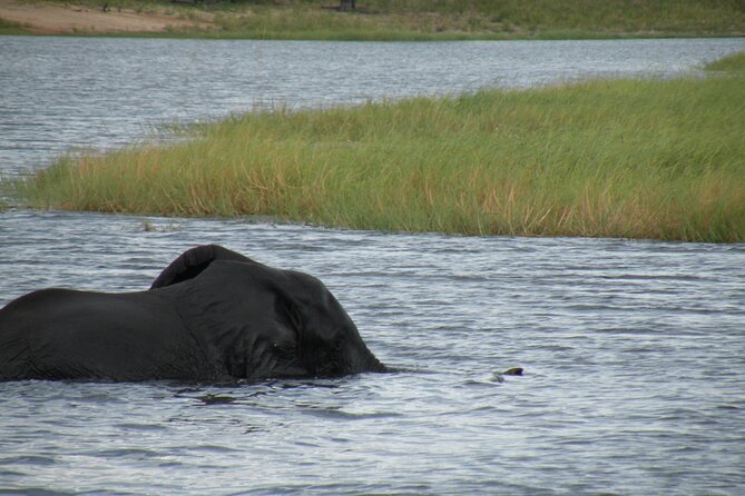 Sunrise and Sunset Cruises in the Zambezi River - Cancellation Policy and Refunds