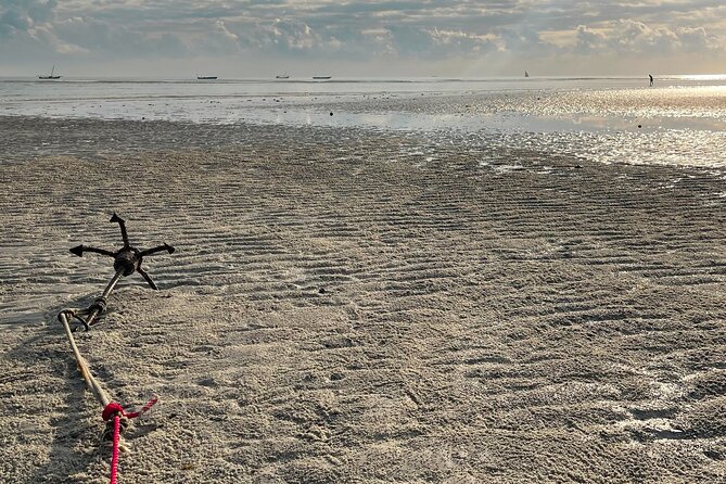 Sunrise Beach Walk With Picnic Breakfast Activity - What To Expect