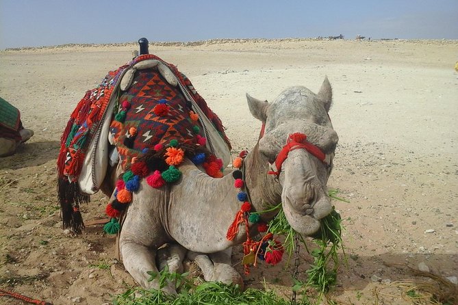 Sunrise Camel Ride Around the Pyramids - How to Get There