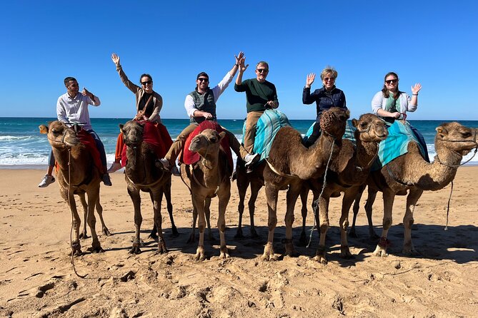 Sunset Camel Ride on Achakkar Beach Including Traditional Dinner - Reviews and Testimonials