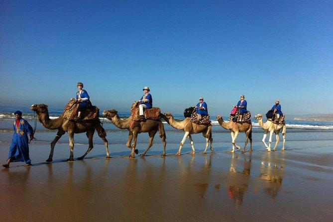Sunset Camel Riding + Barbecue B&B Grill With Abdo - Inclusions and Services