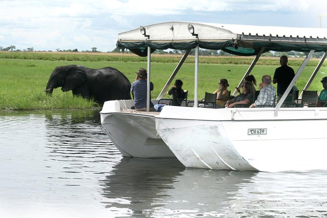 Sunset Cruise on Chobe River With Hotel Pickup From Kasane - Inclusions and Logistics