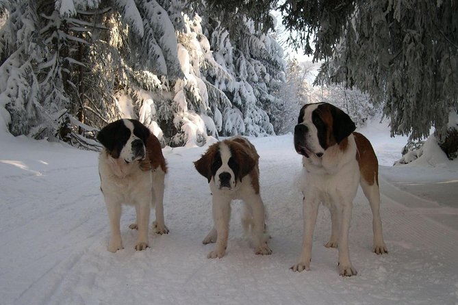Super 8 Funskitour With Guide - Directions and Recommendations