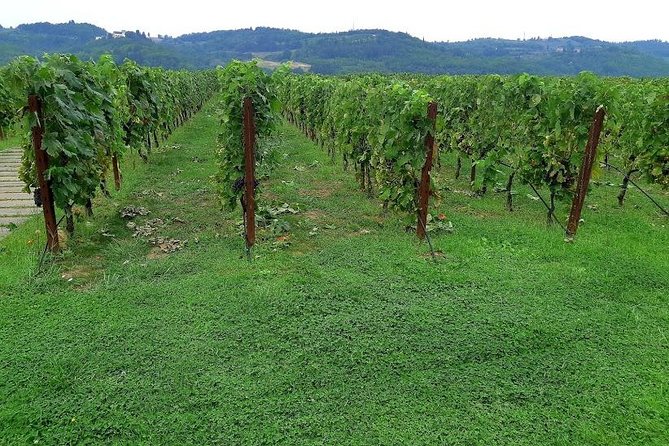 Sweet Hills of Chianti & San Gimignano With Lunch & 2 Tastings - Cancellation Policy