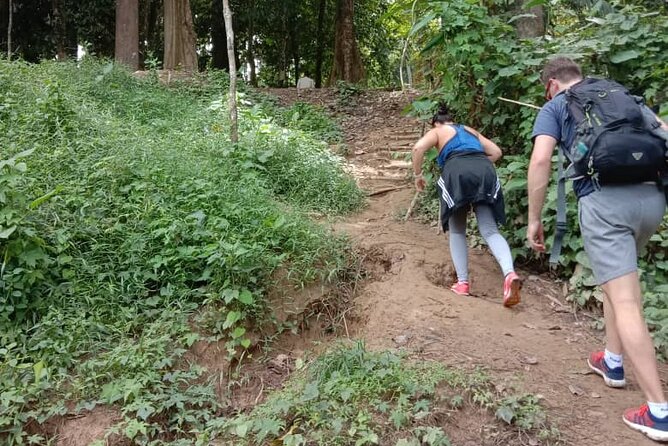 Taman Negara National Park DAY Tour (SIC - Join In Tour) - The Sum Up