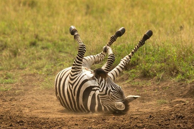 Tarangire,Ngorongoro & Lake Manyara | 4 Day