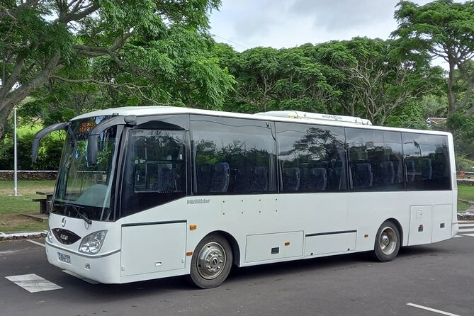 Terceira Island Bus Transfer - Operating Hours