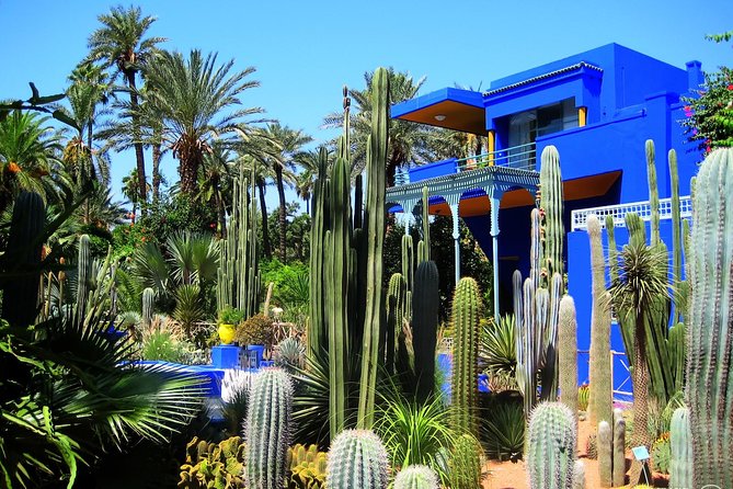 The Amazing Marrakech Day Trip From Casablanca - Positive Reviews and Testimonials